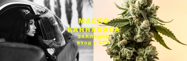 сатива Краснослободск