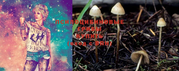 гашик Краснотурьинск