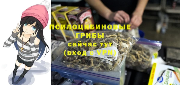 гашик Краснотурьинск