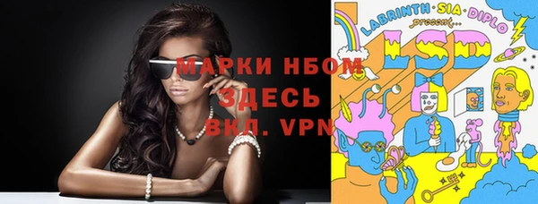 сатива Краснослободск