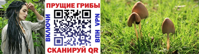 Галлюциногенные грибы Magic Shrooms  Рыльск 